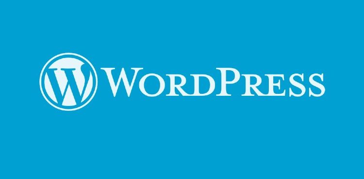 İçerik yönetim sistemi kullananların %83’ü WordPress altyapısını tercih etti