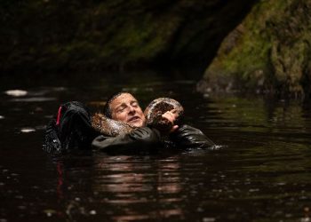 Netflix, Animals on The Loose: A You vs Wild Movie’nin resmi fragmanını ve ilk karelerini paylaştı