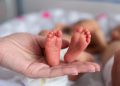 ​Prematüre Bebeklerin Bakımı Hassasiyet Gerektiriyor